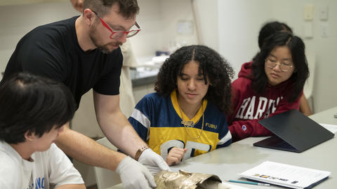 Three students interacting with professor during their freshman seminar program.